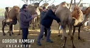 Gordon Ramsay's First Encounter with Camel Delights | Gordon Ramsay: Uncharted