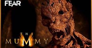 The Mummy Awakens | The Mummy (1999) | Fear