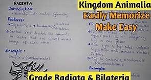 Grade Radiata And Bilateria | Radial And Bilateral Symmetry | Kingdom Animalia | Class 11