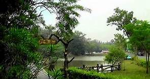 高雄澄清湖風景區！圓山飯店、鳥松濕地。