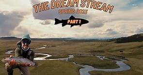 Fly Fishing the Dream Stream in Colorado | Spring 2023 Part 1