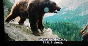 L'Orso (Film), commento del regista