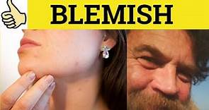 🔵 Blemish Blemished - Blemish Meaning - Blemished Examples - Blemish Defined - GRE 3500 Vocabulary