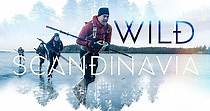 Wild Scandinavia - streaming tv show online