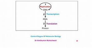 Central Dogma of Molecular Biology || Central Dogma of Life || Biochemistry
