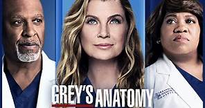 ¿Cuántas temporadas tiene Grey’s anatomy?