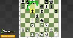 Chess Openings: The Queen's Gambit Declined