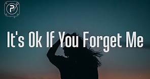 Astrid S - It's Ok If You Forget Me (Lyrics)