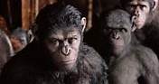 Top 15 películas protagonizadas por monos