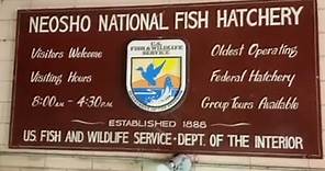 1888 Neosho National Fish Hatchery - Oldest Federal Fish Hatchery in Operation- Neosho, MO #trout