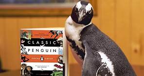 A Real Penguin's "Internship" at Penguin Random House