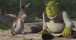 Shrek's Funny Face