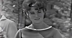NEW * Born A Woman - Sandy Posey {Stereo} 1966