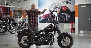2009 Harley Davidson Crossbones