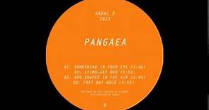 Pangaea - New Shapes in the Air