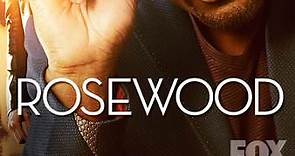 Rosewood: Season 1 Episode 3 Have-Nots and Hematomas