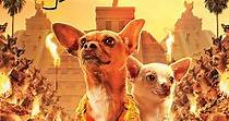 Beverly Hills Chihuahua - watch streaming online