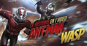 Ant-Man and The Wasp: La Historia en 1 Video
