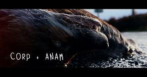 "CORP + ANAM" OPENING TITLES / SERIES PROMO