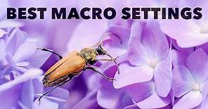 The Best Camera Settings for Macro and Close-Up Photography