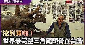 世界最完整三角龍頭骨在台灣！專訪恐龍化石清修師蕭語富