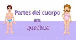 Quechua chanka: Clase 6, partes del cuerpo humano