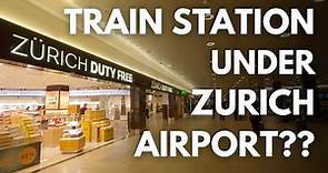 Unlock Zurich Airport : Guided Walking Tour!