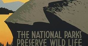 National Parks, National Forests, and U.S. Wildernesses