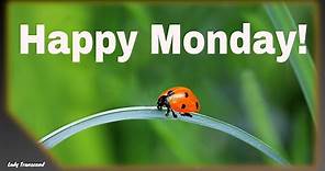 Happy Monday Morning Greetings, Motivational Mondays