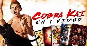Cobra Kai - Temporadas 1, 2, 3, 4 y 5 en 1 VÍDEO | RESUMEN COMPLETO