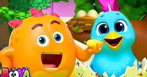 Bird Watch Funny Animal Cartoon & Comedy Video for Kids