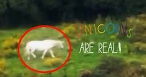 Real Unicorn, Caught on Tape! Proof unicorns are Real?