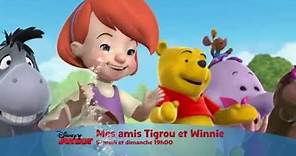 Mes amis Tigrou et Winnie - Tous les samedis et dimanches à 19h sur Disney Junior !