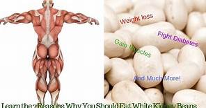 White Kidney Beans Benefits - 7 Reasons Why You Should Eat White Kidney Beans Regularly