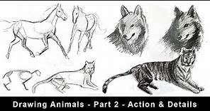 Drawing Animals for Beginners - Part 2 - Action, Foreshortening & Details
