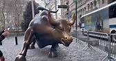 Wall Street Bull, NYC 💙🇺🇸 | New York - New York