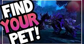 Which hunter pet should YOU use? | How to pick a main pet guide | World of Warcraft Shadowlands