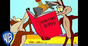 Looney Tunes | Road Runner Hunting | Classic Cartoon | WB Kids