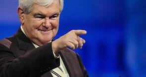 Who Is Newt Gingrich?