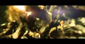 Chris Clark - Gob Coitus (Official Music Video) 1080p HD