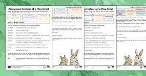 Recognising the Features of a Play Script: The Little Red Riding Hood Collection Differentiated Worksheet