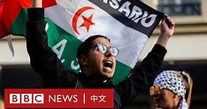 以巴衝突在世界各地掀起抗議浪潮 法國禁止聲援巴勒斯坦示威－ BBC News 中文