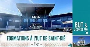 Les formation de l'IUT de Saint-Dié-des-Vosges