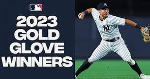2023 Gold Glove Winners! (The best of the best with the glove)