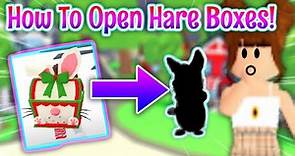 How To *GET & OPEN* HARE BOXES🍭🐇In Adopt Me Christmas Update 2023 Week 3 + What are all the Hares?