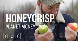 Honeycrisp vs Red Delicious - How We Finally Got Good Apples | Planet Money | NPR