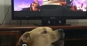 Dog Sings with 20th Century Fox Movie Theme