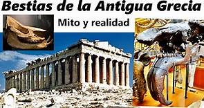 Bestias de la Antigua Grecia: mito y realidad