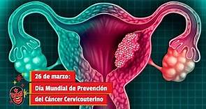 26 de marzo: Día Mundial de Prevención del Cáncer Cervicouterino