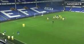 David Henen - Skill, Assist, Goals ( Welcome to Everton )